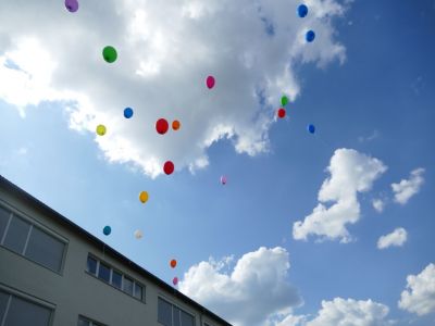 Bild-Vorschau